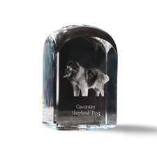 Cane da pastore del Caucaso