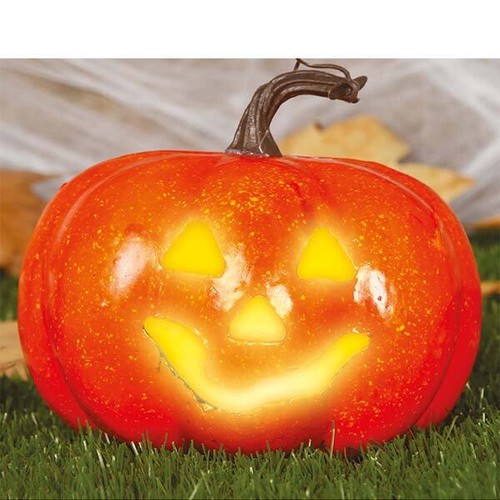 Zucca con luce - con, 11