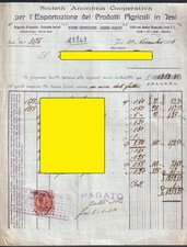 13943 SOCIETA' ANONIMA COOPERATIVA - JESI (ANCONA) vedi mod. personalizzato