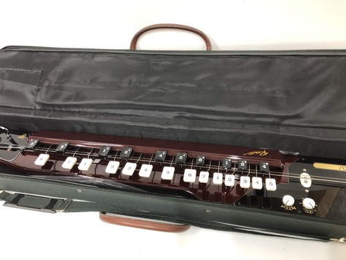 Arpa pavone elettrica - , nagoya