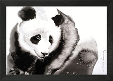 Cosy Panda2 Framed Wall Art