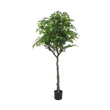 Pianta artificiale ficus - artificiale,