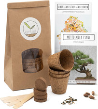 Bonsai Kit Incl. Ebook