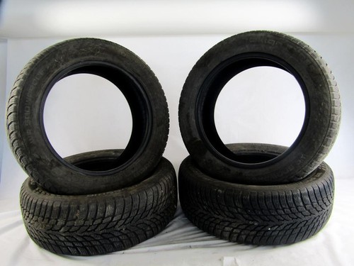 205 r16 91h nokian wr - 205/55,