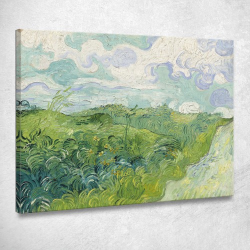 Campi grano verde auvers - di,