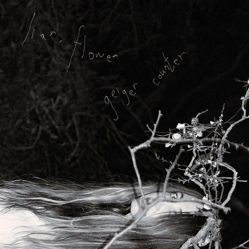 Liar flower geiger counter - flower,