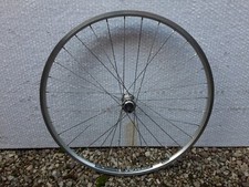 Cerchi Alex specializzati /