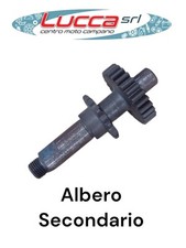 FM101088 Albero Secondario Franco Morini