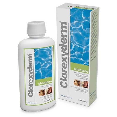 Clorexyderm shampoo - clorexyderm,