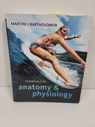 Essentials anatomy and - essentials,
