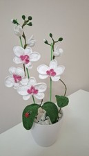 Orchidea particolare fatta - orchidea, a