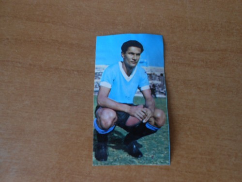 Figurina calciatori ed - figurina,