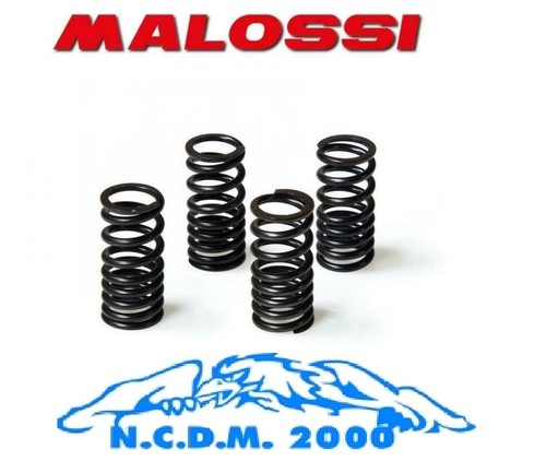 Molle malossi per valvole - 4,
