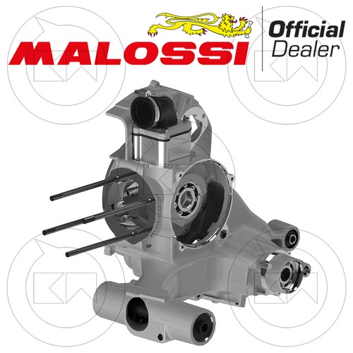 Malossi 5718382 carter motore - malossi,