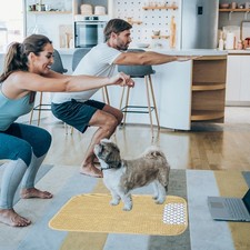 Cuccia per Cani Tappetino di