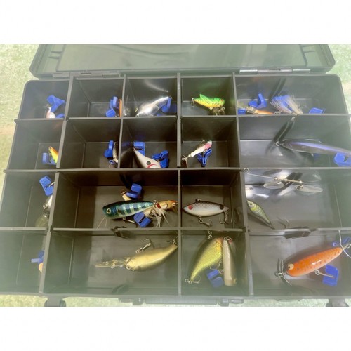 Set esche