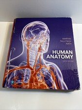Human Anatomy by Martini
