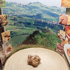 Tartufo Bianco d'Alba Fresco  Tuber Magnatum Pico 10 gr