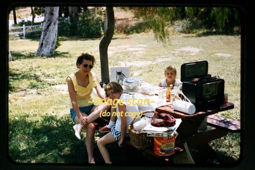 Picnic con radio zenith - con,