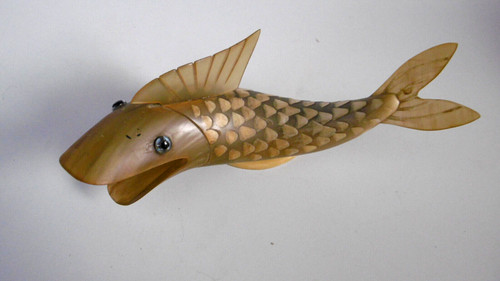 Pesce corno mucca - in,