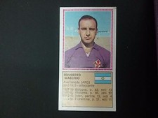 Album Panini Calciatori