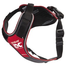 Julius-K9 Pettorina per Cane