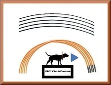 10 - Garmin DC 40 / 10 -