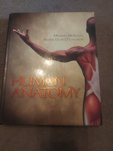 Human anatomy michael - anatomy,