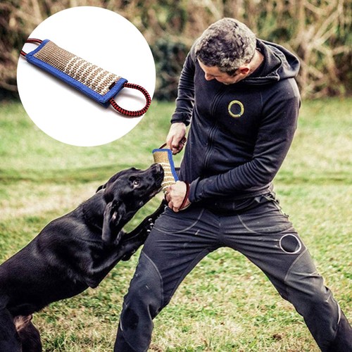 Rimorchiatore cane cane