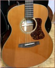Walden CG4070E-CERT chitarra western massiccia demo di ricarica