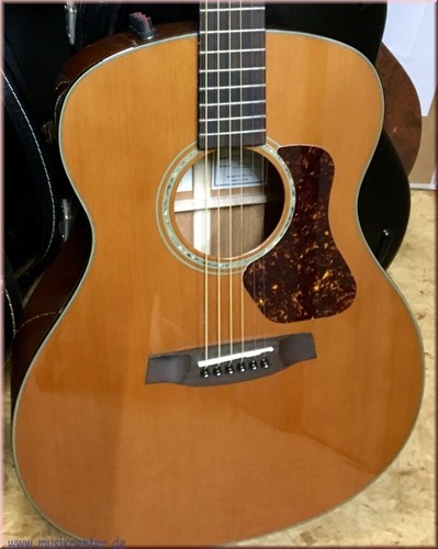 Walden cg4070e cert chitarra - walden, cg4070e-cert