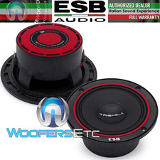 ESB AUDIO 3.90 3.5" 60W RMS