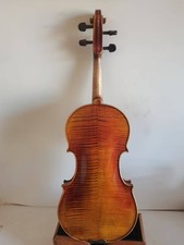 Violino 4/4 modello Amati