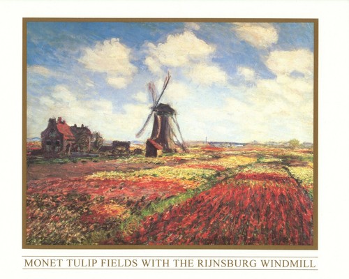 Poster stampa artistica - , campi