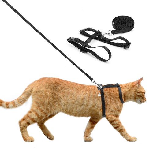 Pettorina per gatti con - pettorina,