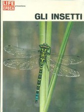 GLI INSETTI ETOLOGIA /