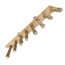 Bird Wood Ladder Parrot