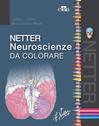 Netter neuroscienze - , da