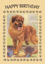 LEONBERGER GREAT DOG BIRTHDAY