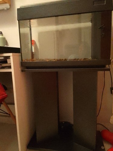 Acquario completo - completo, di