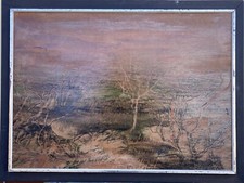 Dune di Sabbia Con Macchia