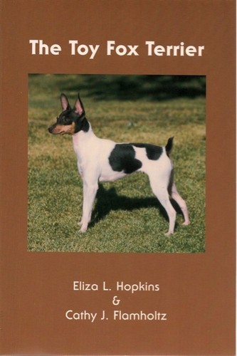 Toy fox terrier hopkins - hopkins, &