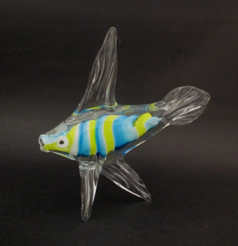 Splendido grande pesce - splendido,