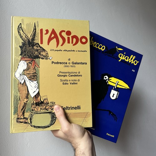 Becco giallo asino - il, +