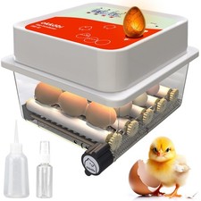 Incubators for Hatching – 12