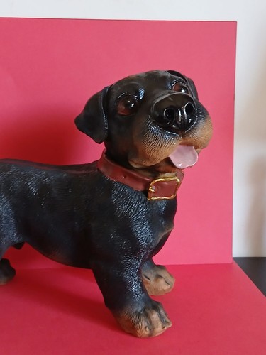 Statua cucciolo rottweiler - statua,