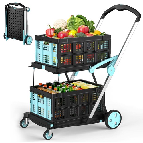 Carrello della spesa - carrello,