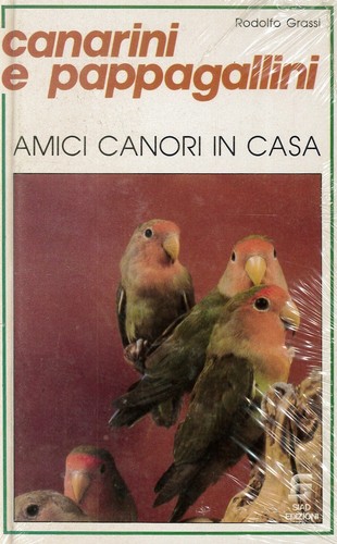 Canarini pappagalli amici - canarini,