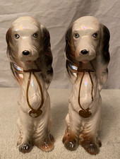 Coppia di cani seduti vintage