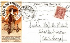 TORINO - Fabbrica Vernici e Pennelli PARAMATTI - Pubblicitaria - VG - PU438